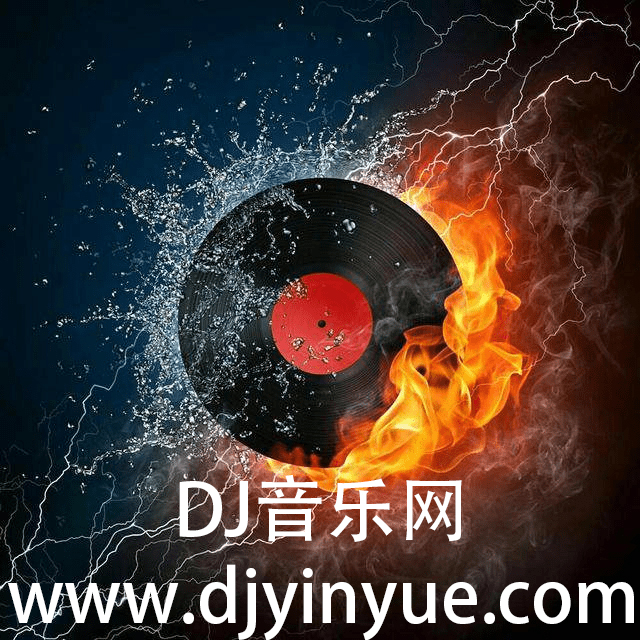 我爱你中国 Fk Hs (啊格Remix)dj