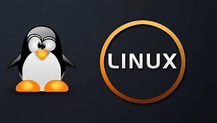 Linux无分区表